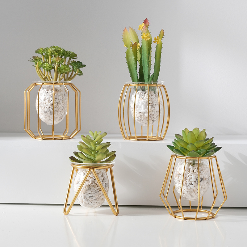 Home creative hydroponic vase  - Desk Setup Green ulasan dan harga
