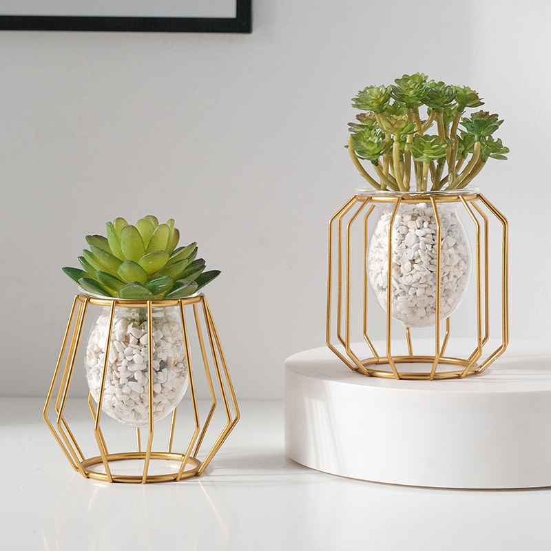 Home creative hydroponic vase  - Desk Setup Green ulasan dan harga